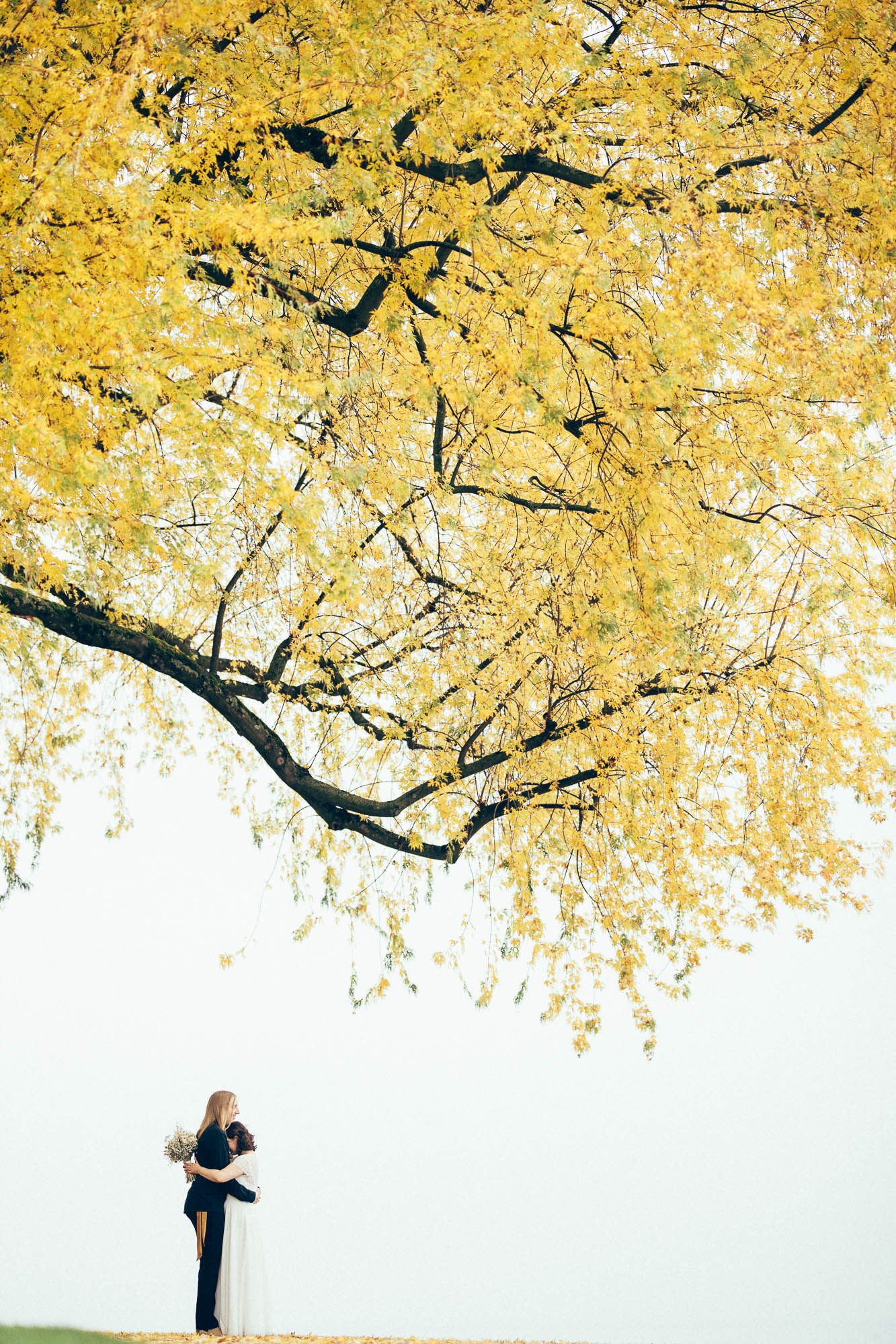 Export x3 1DX29378 Hochzeit 2020 Monika & Sharru 4